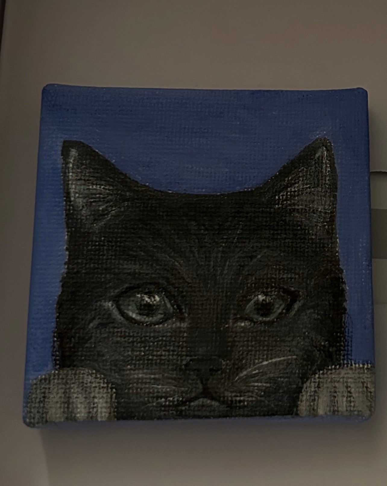 Mini-Portrait Katze
