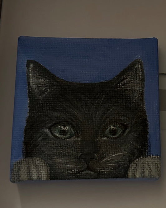 Mini-Portrait Katze