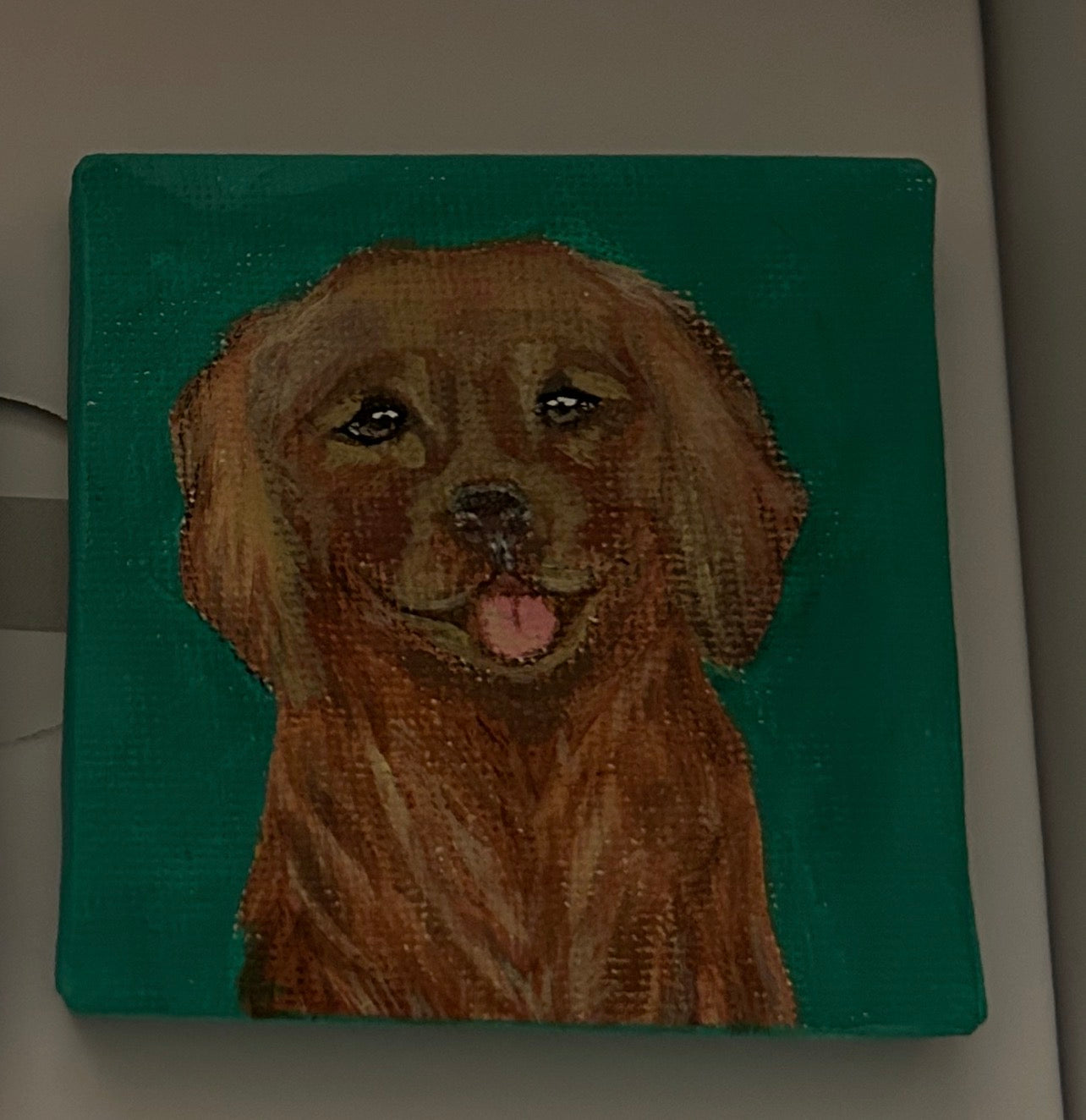 Mini-Portrait Hund