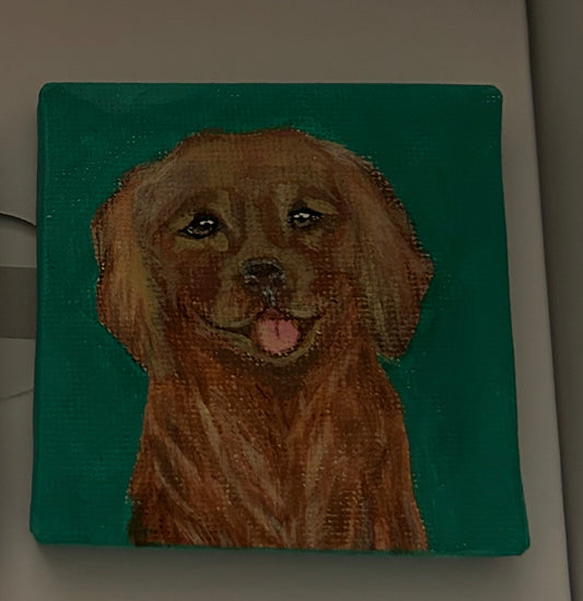 Mini-Portrait Hund